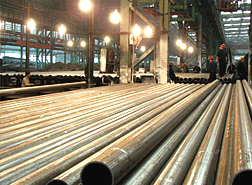 ݔ�����w��